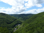 FZ016390 View from chairlift in Boppard.jpg